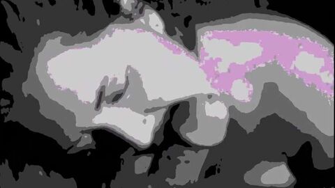 HD видео, большие сиськи, большой член, винтаж, домашнее порно, минет